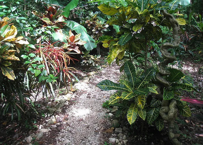 Retreat Nosara